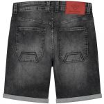 dex-scratched-shorts-grey_Back