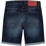 dex-scratched-shorts-blue_Back