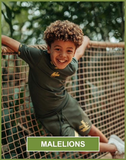 De Online Voetbal van Nederland!