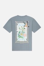 product-variation-3051681